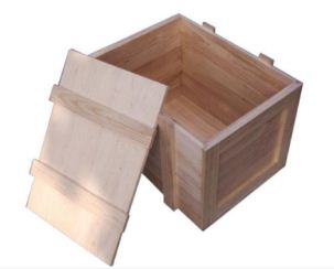 ľ���b����b��(y��ng)ԓע����Щ���